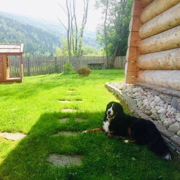 Фото номера Апартаменты с видом на горы Апартаменты Apartament Babia Góra г. Завоя 28